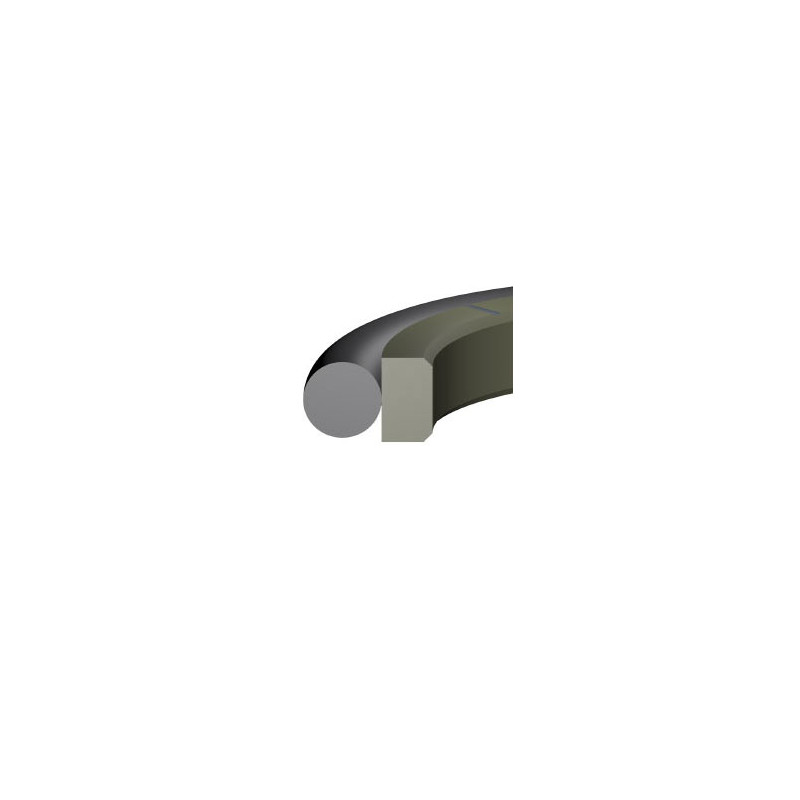Junta RS-10 PTFE estándar 7,00x